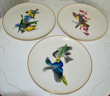 Vtg american songbirds for sale  Albion