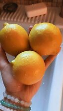 Lemon seeds organic for sale  Copperas Cove