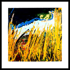 mario schifano campo usato mario schifano campo usato Lendinara