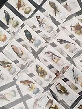 Ogdens british birds for sale  GREAT YARMOUTH