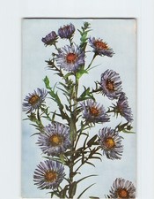 Postcard aster ware for sale  Almond