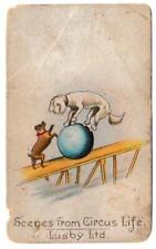 Lusby Ltd - 'Cenas da vida de circo' (c1900) - Dois cães com bola azul na prancha comprar usado  Enviando para Brazil