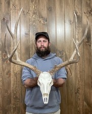 Dark tall 5x5 for sale  Port Matilda