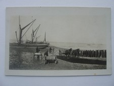 horse carts for sale horse carts for sale HASTINGS