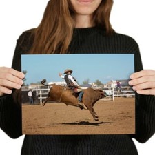 Bullriding bull rodeo for sale  SELBY