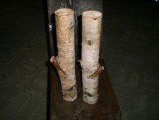 Birkenstämme holz deko gebraucht kaufen  Willebadessen