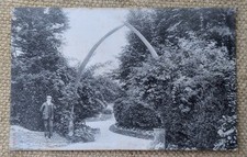 Dover whalebone arch for sale  LIVERPOOL