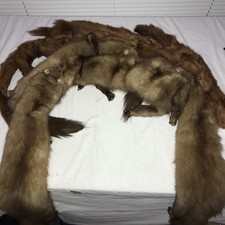 Vintage genuine fox for sale  Cheswick