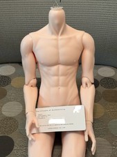 Bjd soom idealian for sale  Frisco