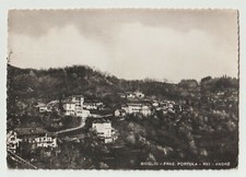 Bioglio biella cartolina usato  Cirie