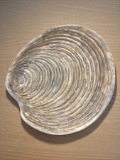 Assiette coquille guillot d'occasion Assiette coquille guillot d'occasion  Andernos-les-Bains