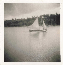 Ancienne photographie voilier d'occasion  Nogent-sur-Marne