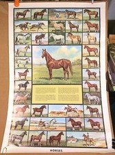 Vintage educational poster for sale  Portland