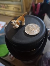 Miniature basset hound for sale  Colorado Springs