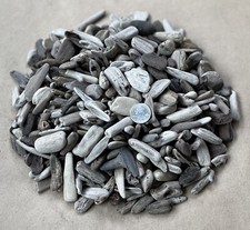 100 small driftwood for sale  Aptos
