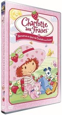Dvd bienvenue pays d'occasion  Les Mureaux
