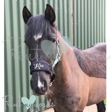 Personalised anatomical horse for sale  UK