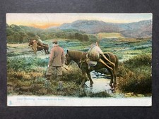 Deer stalking returning for sale  WORKINGTON