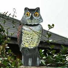 Decoy owl realistic for sale  DERBY