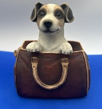 2009 leonardo dog for sale  NEWCASTLE