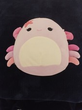 crab squishmallow for sale crab squishmallow for sale WARRINGTON