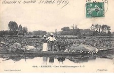 80.am17522.amiens. 696. hortil d'occasion  France