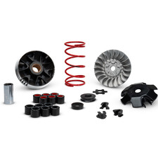 5112800 variatore malossi usato  Italia