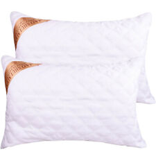 buck wheat pillow set 2 for sale buck wheat pillow set 2 for sale Ontario