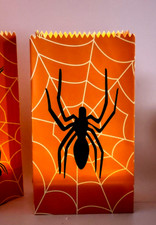Halloween spider luminaries for sale  North Port