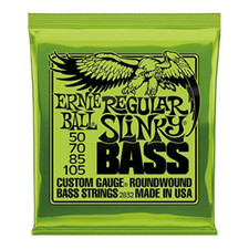 Ernie ball regular usato  Roccagloriosa