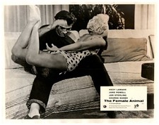 Cartão de lobby original The Female Animal George Nader palmando Jane Powell 1957 comprar usado Cartão de lobby original The Female Animal George Nader palmando Jane Powell 1957 comprar usado  Enviando para Brazil