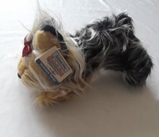 Animal alley yorkshire for sale  Corona