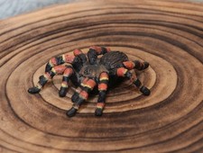 Schleich 14829 vogelspinne gebraucht kaufen  Bad König