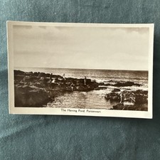 Vintage postcard herring for sale  BRADFORD