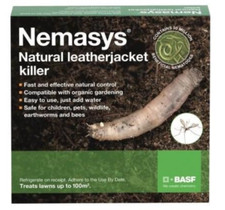 Nemasys leatherjacket nematode for sale  NORWICH