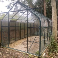 Year old 14ft for sale  BEDFORD