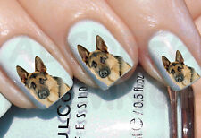 Water nail dog usato  Gravedona Ed Uniti
