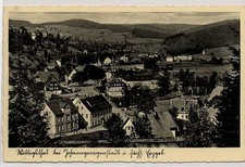 Wittigsthal johanngeorgenstadt gebraucht kaufen  Deutschland