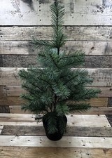 Ikea vinterfint artificial for sale  Parsippany