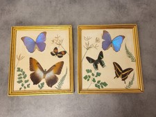 Pair frames with d'occasion  Expédié en Belgium