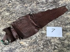 Brown genuine caiman for sale  Port Orange