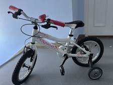 Ridgeback honey girls for sale Ridgeback honey girls for sale  BISHOP'S STORTFORD