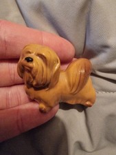 Miniature lhaso apso for sale  NEWCASTLE UPON TYNE