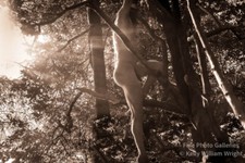 Original male nude for sale  Tampa