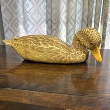 1984 mallard hen for sale  Detroit Lakes