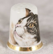China thimble tabby for sale  CAMELFORD
