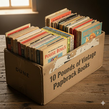 Mystery box vintage for sale  Norman