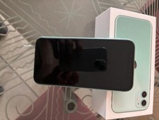 Apple iphone green usato  Osnago