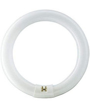 circular fluorescent tube for sale circular fluorescent tube for sale CREWE