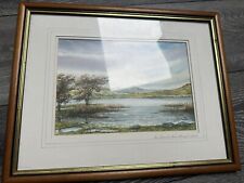 Welsh landscape original for sale  CARDIFF